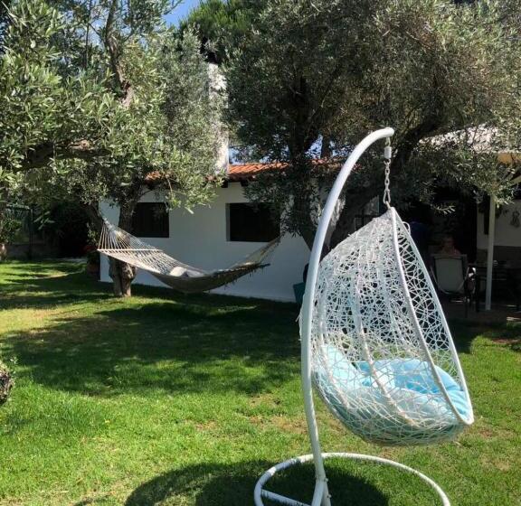 Oasis