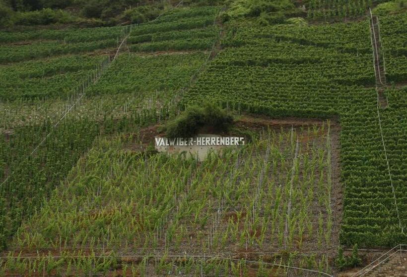 ペンション Gästehaus Lenartz Beth