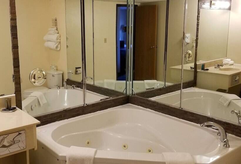 בית מלון כפרי Americas Best Value Inn St. Louis / South