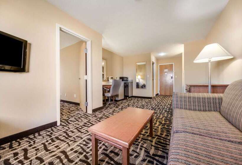 فندق Rodeway Inn