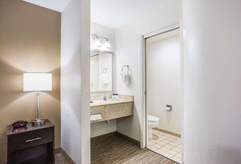 מוטל Quality Inn & Suites Meridian   West Boise