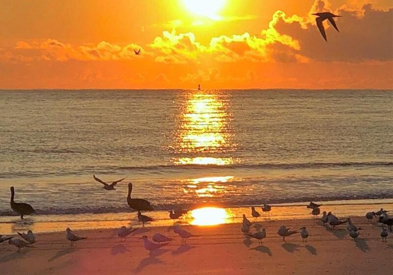 استراحتگاه Tybee