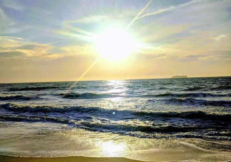 استراحتگاه Tybee