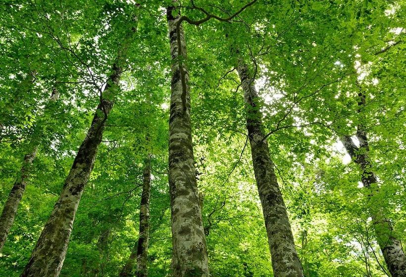 فندق صغير Guesthouse Unila