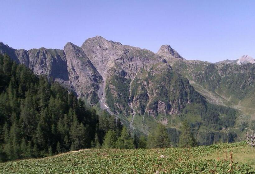 Apartmentshaus Dual   2