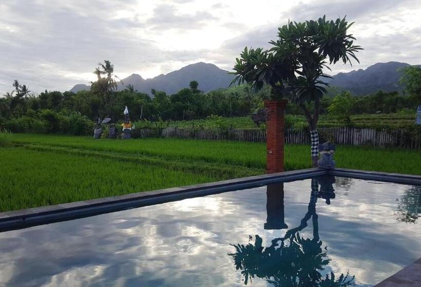 Отель Umma Bali Menjangan Retreat
