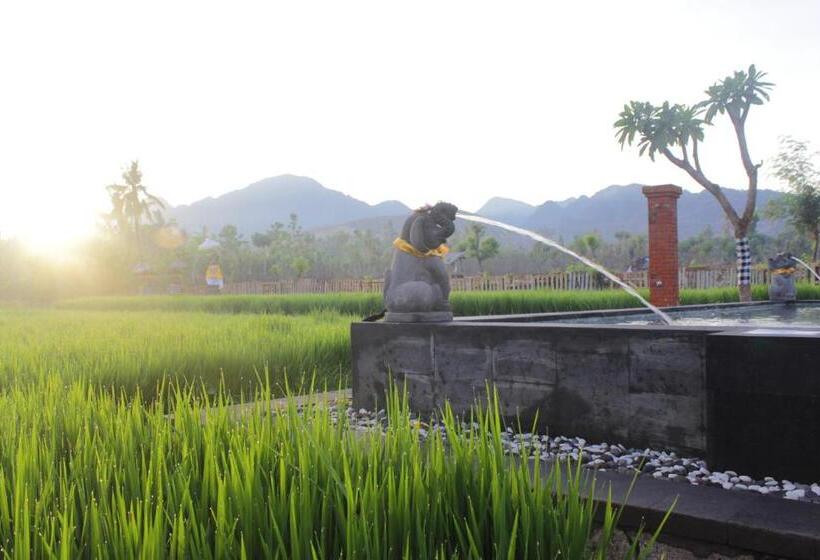 Отель Umma Bali Menjangan Retreat