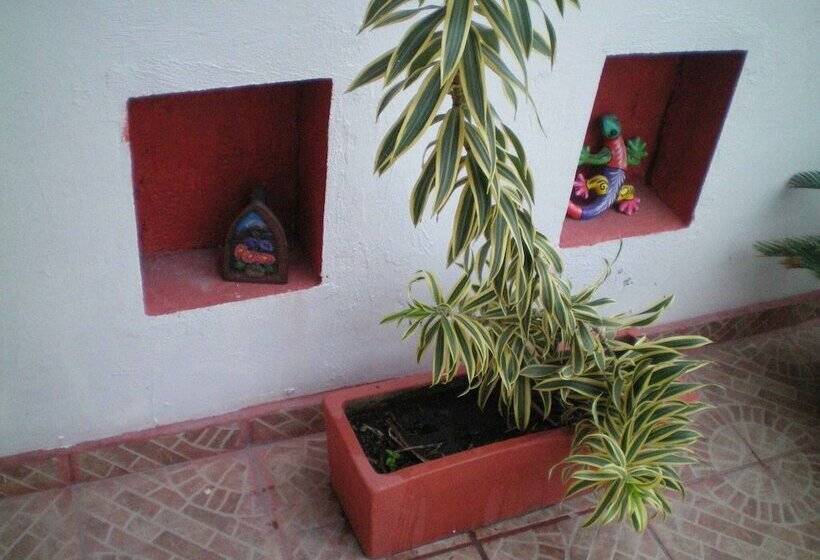 تختخواب و صبحانه Cancun Guest House 3 Near Ado Bus Terminal And 25 Min From/to Airport By Shuttle