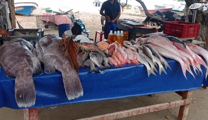 پانسیون Hostalnativo