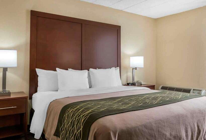 酒店 Comfort Inn  Pocono Mountains