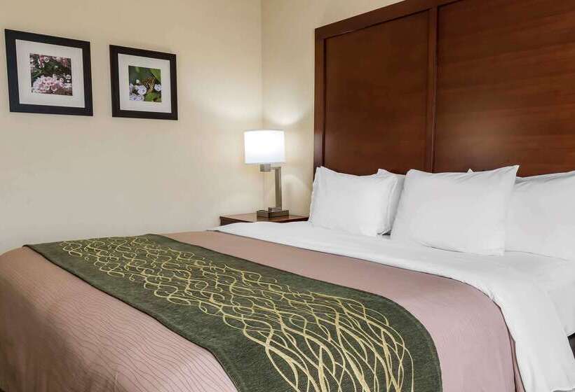 酒店 Comfort Inn  Pocono Mountains