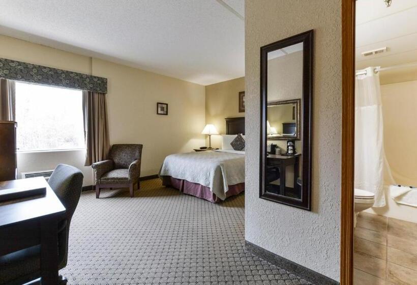 فندق Grand View Inn & Suites