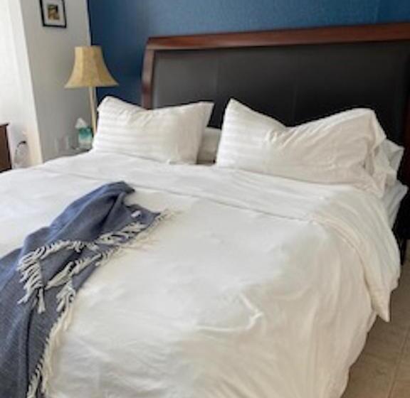ホテル Pikes Peak Paradise Bed And Breakfast