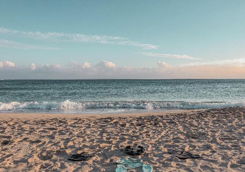 هاستل Ocean Day By Day