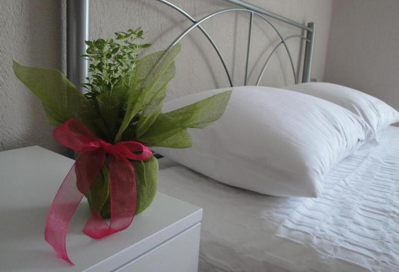 Amaryllis Studios