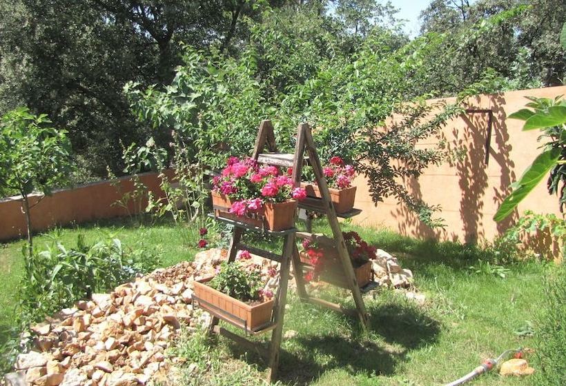 Casa Das Oliveiras