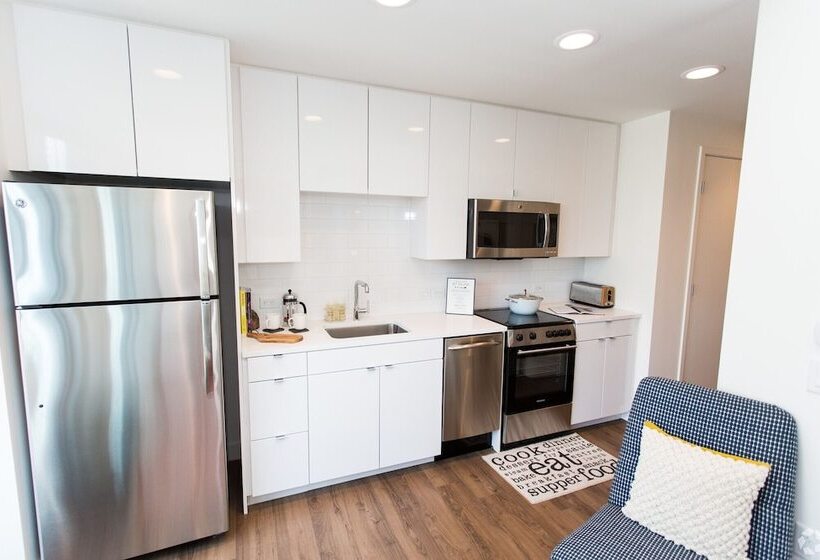 Luxurious 1bd/1ba Penthouse In Fenway   1t