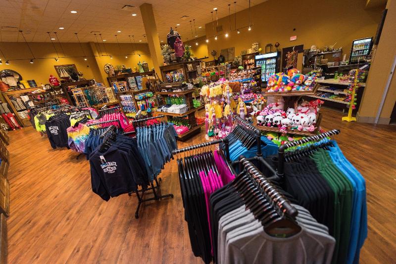 فندق Camelback Resort