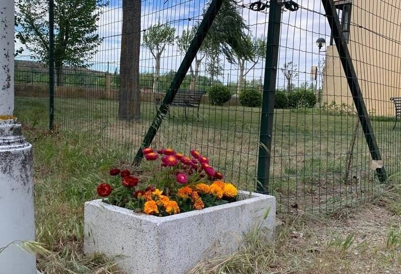 Отель Camping El Tormes