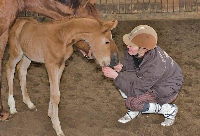 בית מלון כפרי Pferdehof Berger