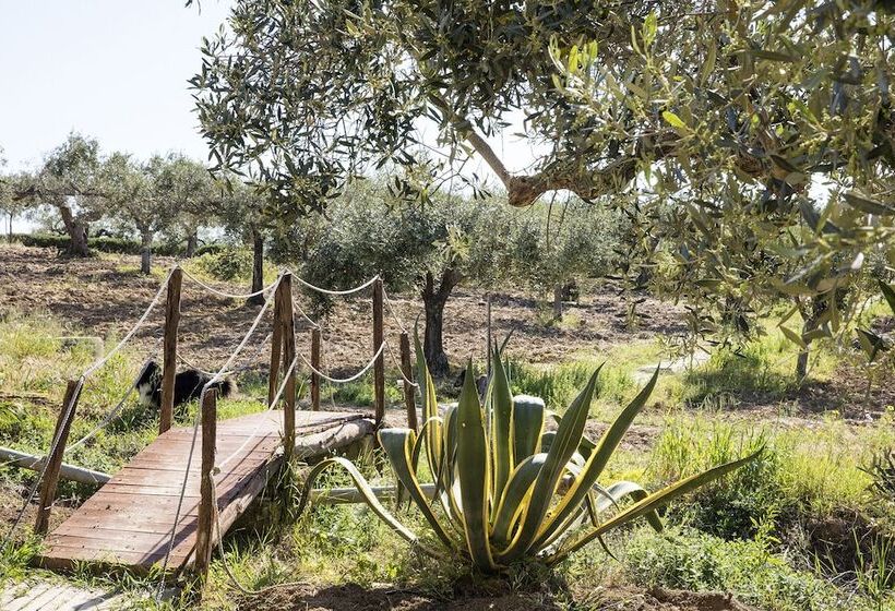 교외 호텔 Agriturismo Baglio Vecchio