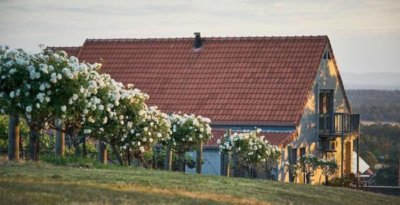 Отель Wandin Valley Estate