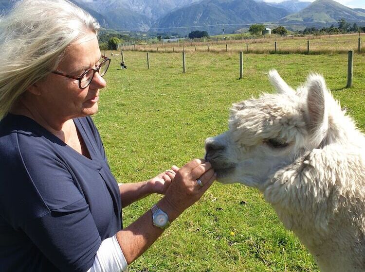 هتل Awatea Country Bed & Breakfast