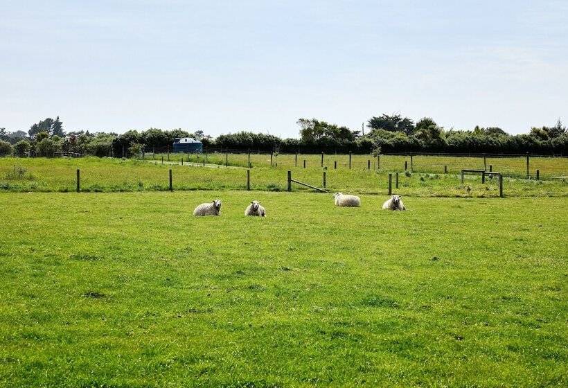 هتل Awatea Country Bed & Breakfast