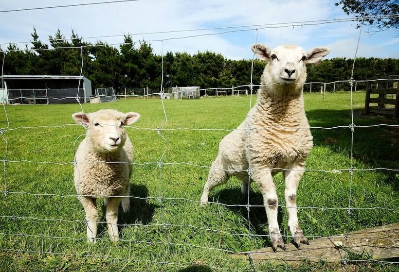 هتل Awatea Country Bed & Breakfast