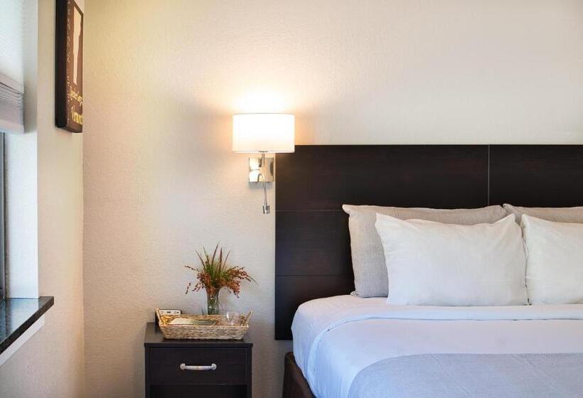 فندق Align Inn Vermont
