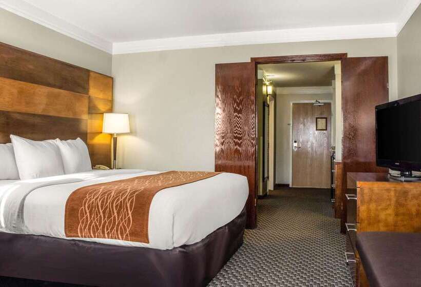 בית מלון כפרי Comfort Inn & Suites Durango
