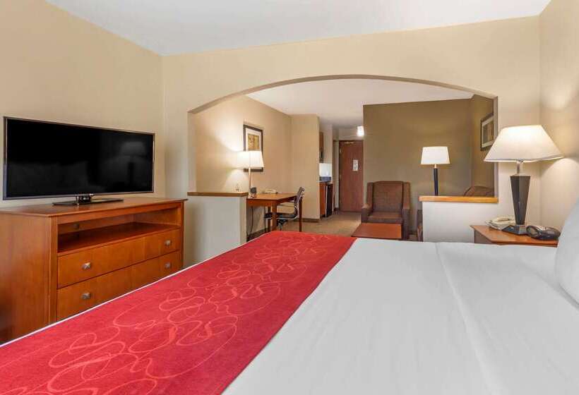 هتل Comfort Suites North Dallas
