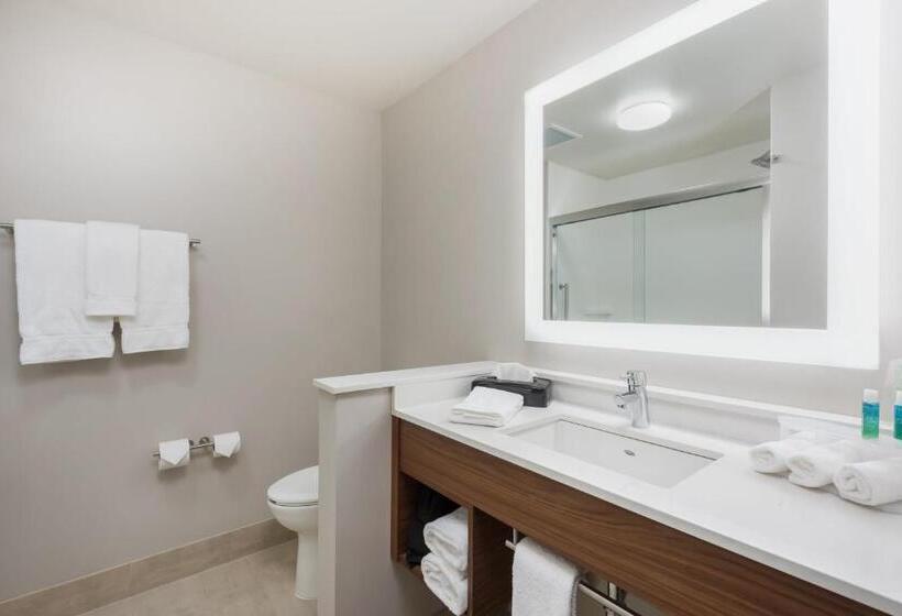 ホテル Holiday Inn Express & Suites West Plains Southwest By Ihg