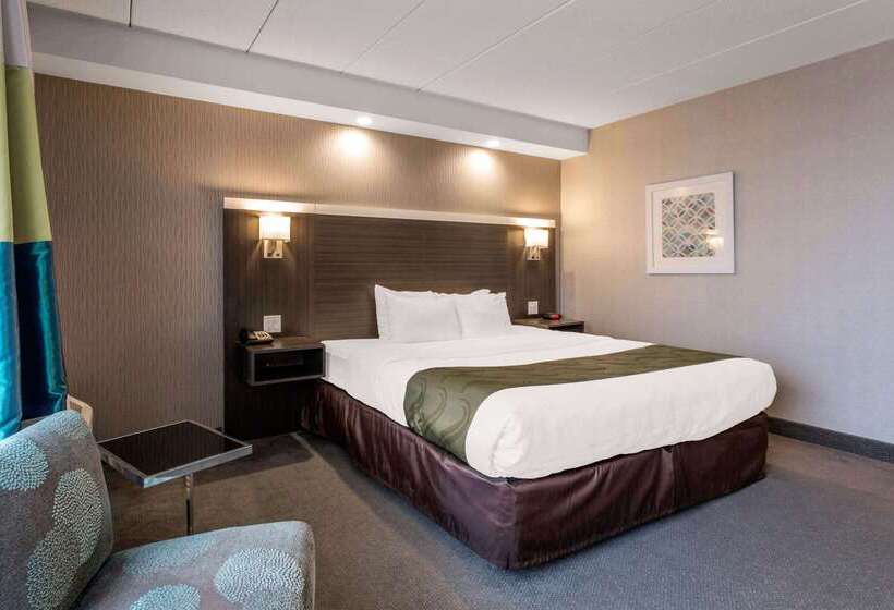هتل Quality Inn