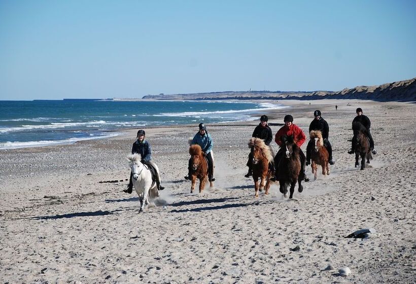 هتل Hytteby – Hanstholm Camping – Thy Feriepark