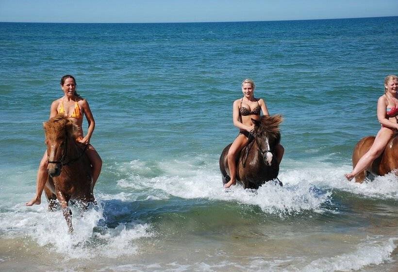 هتل Hytteby – Hanstholm Camping – Thy Feriepark