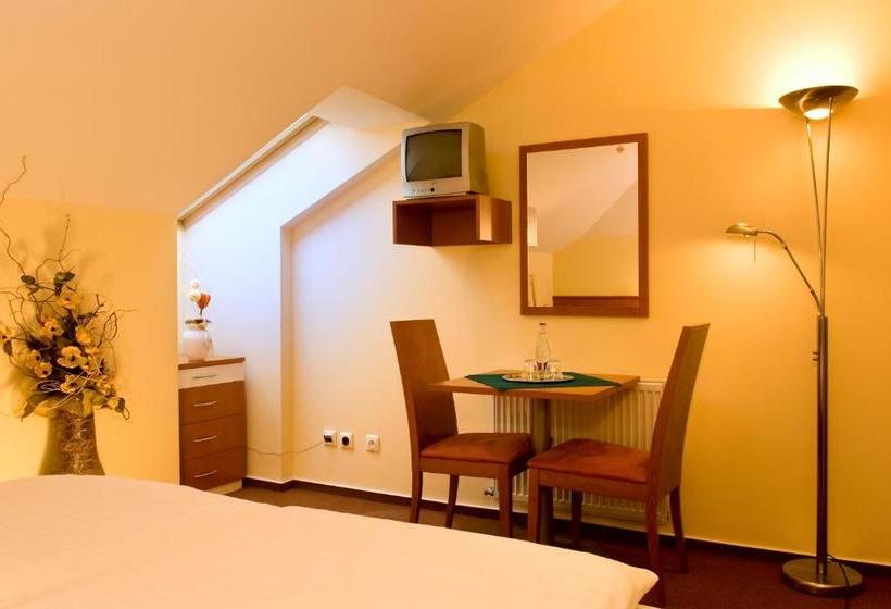 بنسيون Penzion Franko