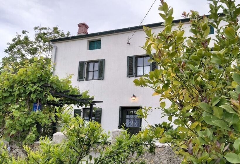 پانسیون Rooms Viskic