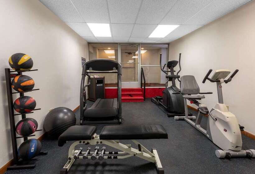 Hotel Days Inn By Wyndham Durango