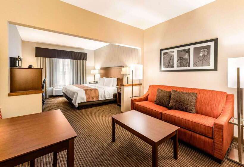 فندق Quality Inn & Suites University Fort Collins