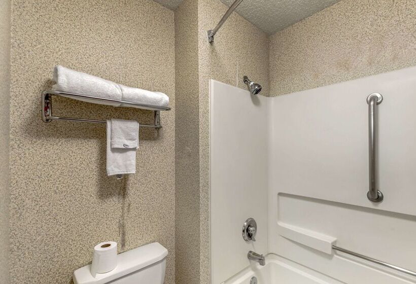Отель Quality Inn Denver Tech Center