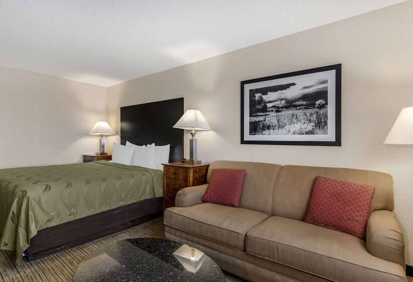 Отель Quality Inn Denver Tech Center
