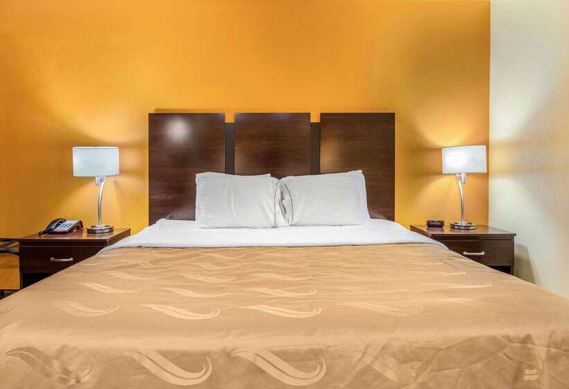 هتل Quality Inn Grand Rapids Near Downtown