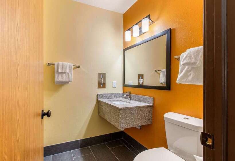 هتل Quality Inn Grand Rapids Near Downtown