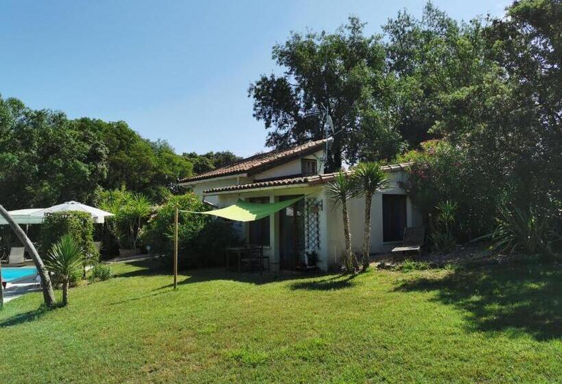 Bed and Breakfast Domaine à L Aise   Piscine Chauffée