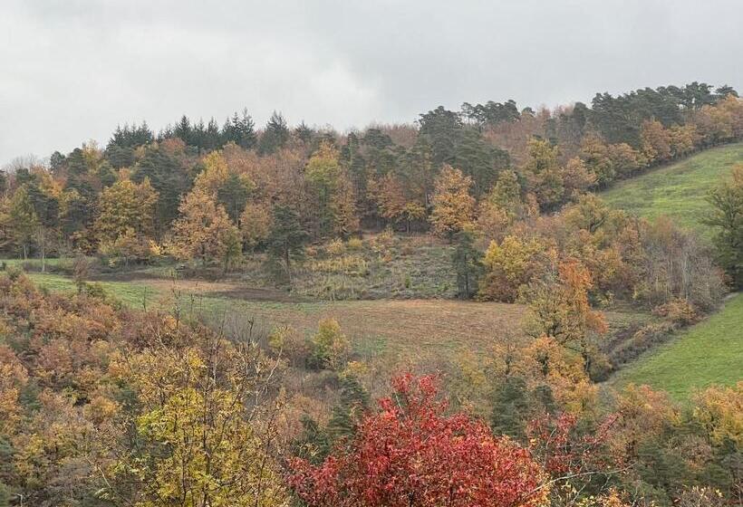 Maison D Hôtes L Escale Du Loup Blanc