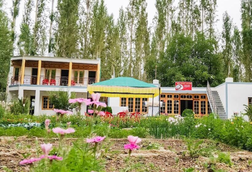 Pensão Ibex Guest House