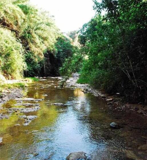 بنسيون Rural Hd Riudebitlles Art I Allotjament