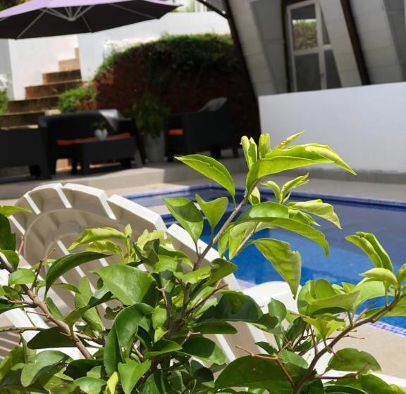 فندق Ballena Dorada Lodge