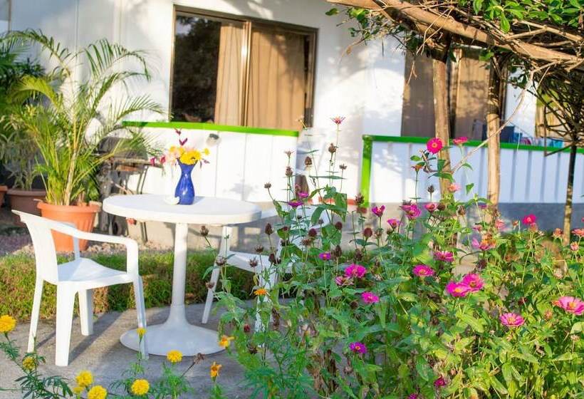 Evergreen Apartments